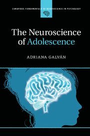 bokomslag Neuroscience of Adolescence