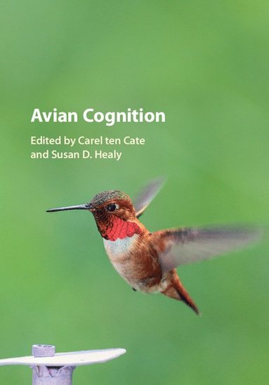 bokomslag Avian Cognition