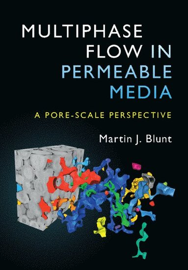 bokomslag Multiphase Flow in Permeable Media