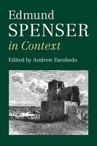 bokomslag Edmund Spenser in Context