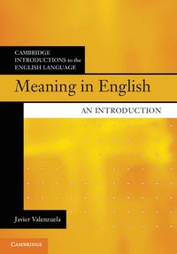 bokomslag Meaning in English