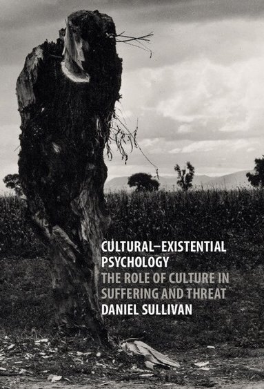 Daniel Sullivan - Cultural-Existential Psychology, Inbunden