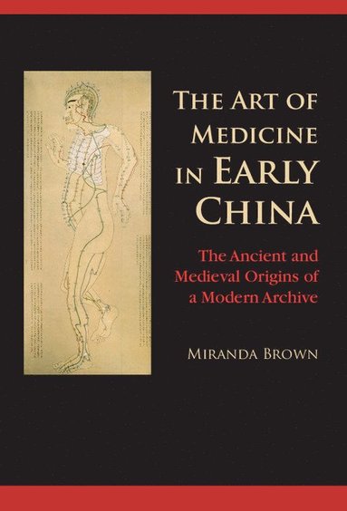 bokomslag The Art of Medicine in Early China