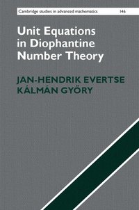 bokomslag Unit Equations in Diophantine Number Theory