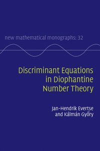 bokomslag Discriminant Equations in Diophantine Number Theory