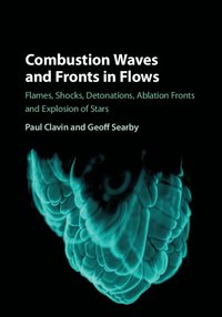 bokomslag Combustion Waves and Fronts in Flows