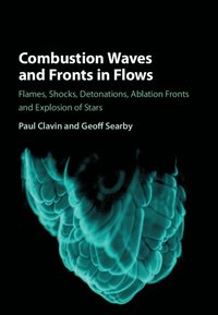 bokomslag Combustion Waves and Fronts in Flows