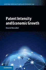 bokomslag Patent Intensity and Economic Growth