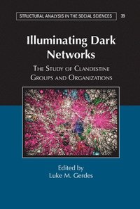 bokomslag Illuminating Dark Networks