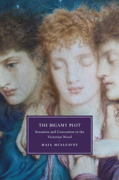 bokomslag The Bigamy Plot