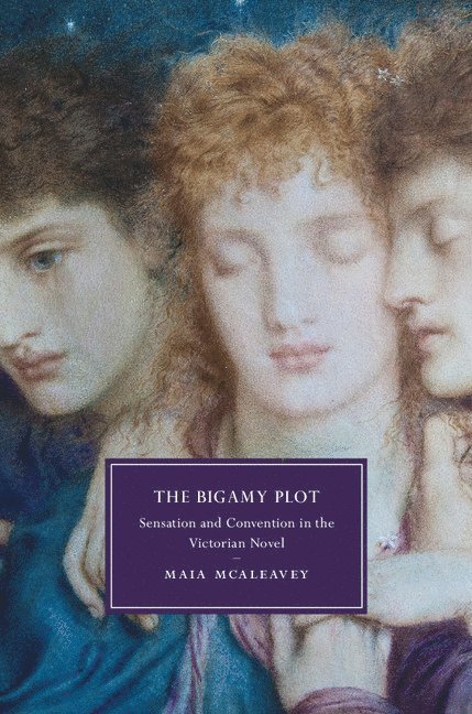 The Bigamy Plot 1