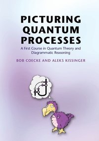 bokomslag Picturing Quantum Processes