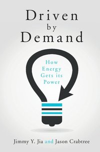 bokomslag Driven by Demand
