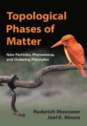 Roderich Moessner, Joel E. Moore, Dresden) Moessner, Roderich (Max-Planck-Institut fur Physik komplexer Systeme, Berkeley) Moore, Joel E. (University of California - Topological Phases of Matter, Inbunden
