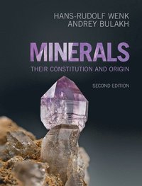bokomslag Minerals