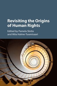 bokomslag Revisiting the Origins of Human Rights