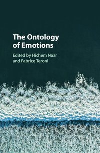 bokomslag The Ontology of Emotions