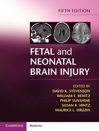 bokomslag Fetal and Neonatal Brain Injury