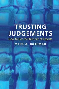 bokomslag Trusting Judgements