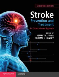 bokomslag Stroke Prevention and Treatment