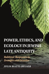 bokomslag Power, Ethics, and Ecology in Jewish Late Antiquity