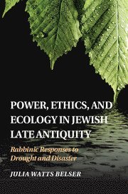 bokomslag Power, Ethics, and Ecology in Jewish Late Antiquity