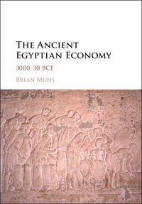 bokomslag The Ancient Egyptian Economy