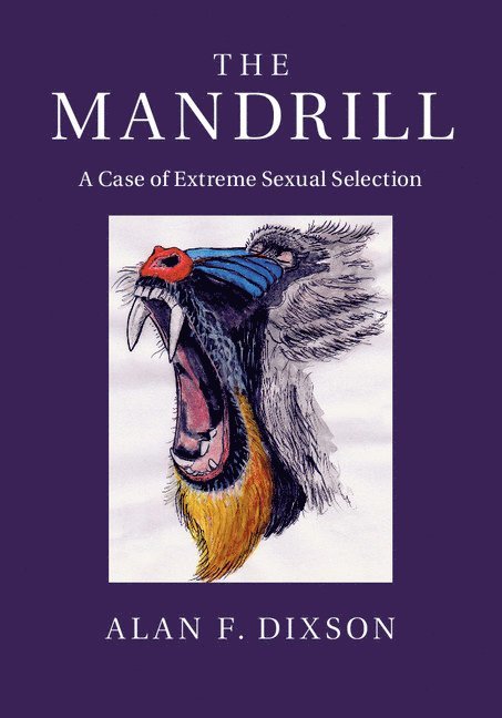 The Mandrill 1