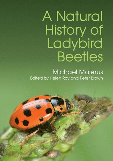 bokomslag A Natural History of Ladybird Beetles