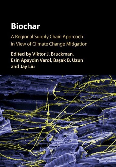 Viktor J. Bruckman, Esin Apaydın Varol, Bașak B. Uzun, Jay Liu - Biochar, Inbunden