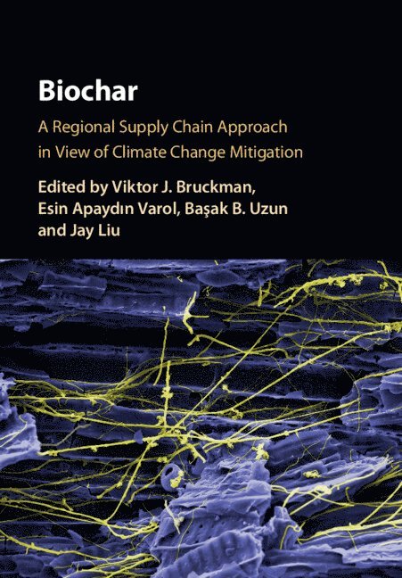 Viktor J. Bruckman, Esin Apaydın Varol, Bașak B. Uzun, Jay Liu - Biochar, Inbunden
