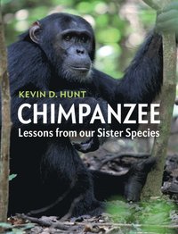 bokomslag Chimpanzee