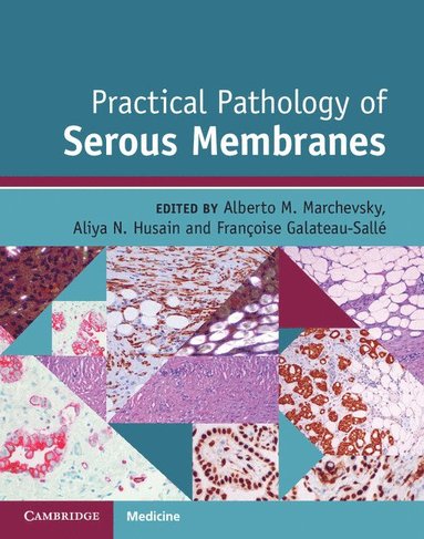 bokomslag Practical Pathology of Serous Membranes