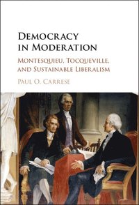 bokomslag Democracy in Moderation