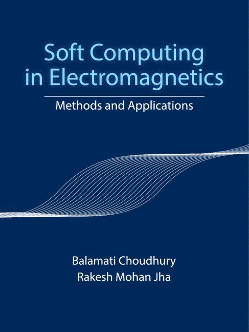 Soft Computing in Electromagnetics 1