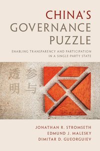 bokomslag China's Governance Puzzle