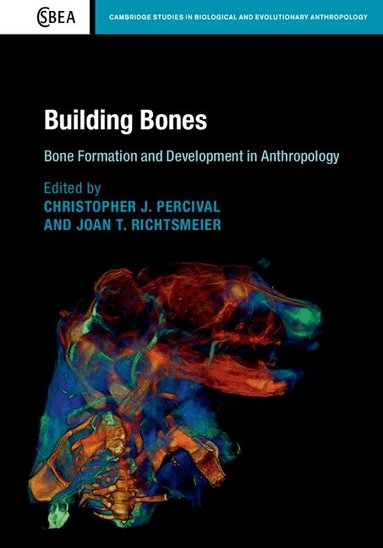 Christopher J. Percival, Joan T. Richtsmeier - Building Bones: Bone Formation and Development in Anthropology, Inbunden