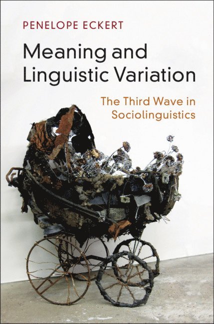 Meaning and Linguistic Variation 1