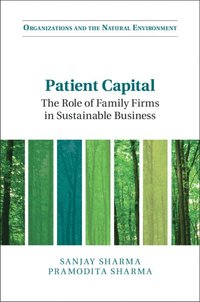 bokomslag Patient Capital