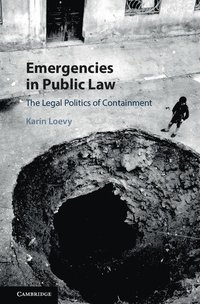 bokomslag Emergencies in Public Law