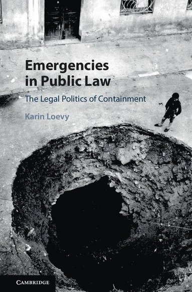 bokomslag Emergencies in Public Law