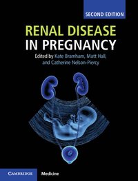 bokomslag Renal Disease in Pregnancy