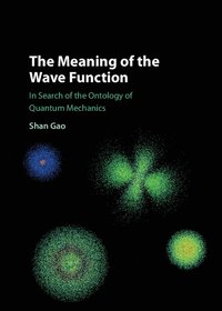 bokomslag The Meaning of the Wave Function