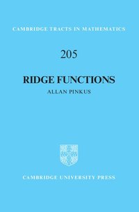 bokomslag Ridge Functions
