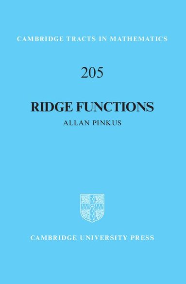 bokomslag Ridge Functions