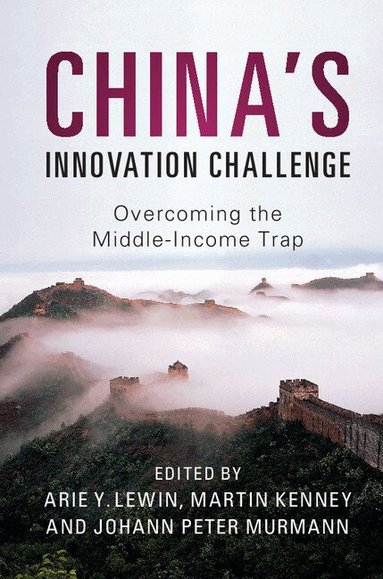 Arie Y. Lewin, Martin Kenney, Johann Peter Murmann - China's Innovation Challenge, Inbunden