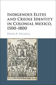 bokomslag Indigenous Elites and Creole Identity in Colonial Mexico, 1500-1800