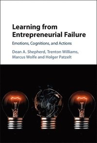 bokomslag Learning from Entrepreneurial Failure