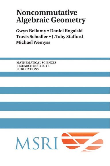 bokomslag Noncommutative Algebraic Geometry