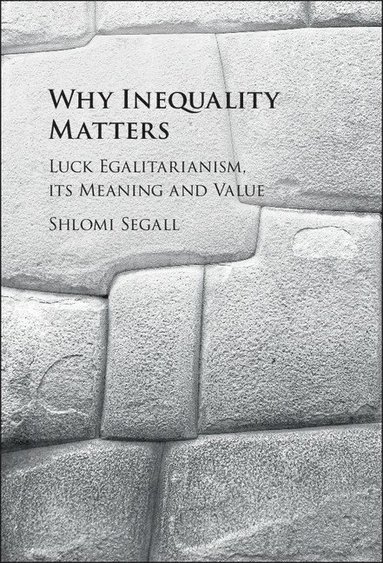 bokomslag Why Inequality Matters